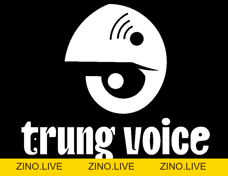 Bài Viết - Trung Voice - Zino