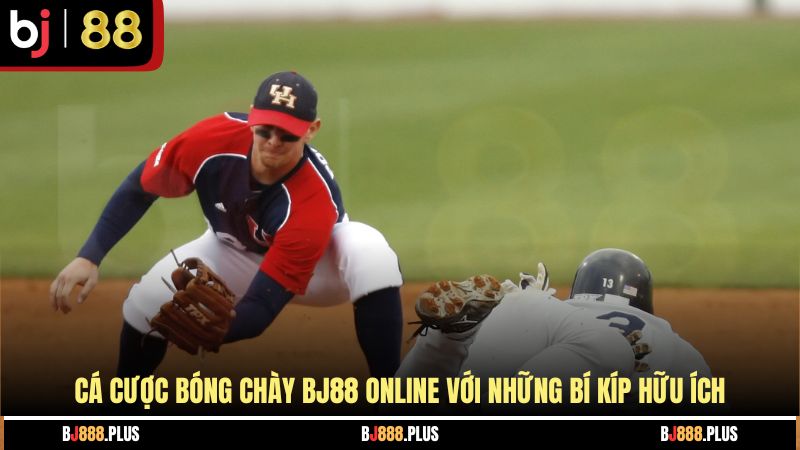 Cá Cược Bóng Chày - Mẹo Chơi Bách Trúng Bách Thắng 2026 - Zino