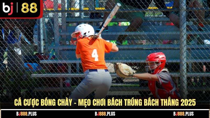 Cá Cược Bóng Chày - Mẹo Chơi Bách Trúng Bách Thắng 2026 - Zino