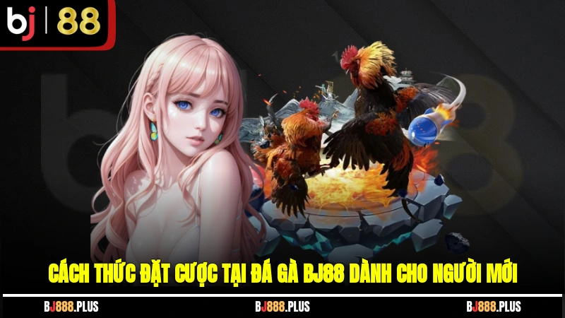Đá Gà BJ88 - Mãn Nhãn Với Cuộc So Tài Kê Chiến Đỉnh Cao - Zino
