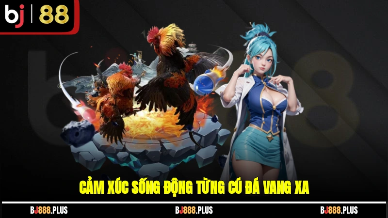 Đá Gà BJ88 - Mãn Nhãn Với Cuộc So Tài Kê Chiến Đỉnh Cao - Zino